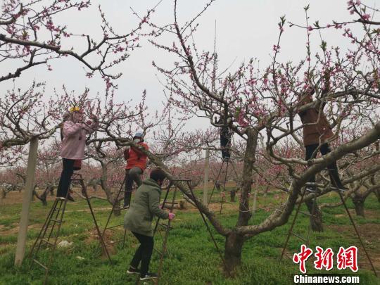 深州市特殊教育事业单位等最新人事任命