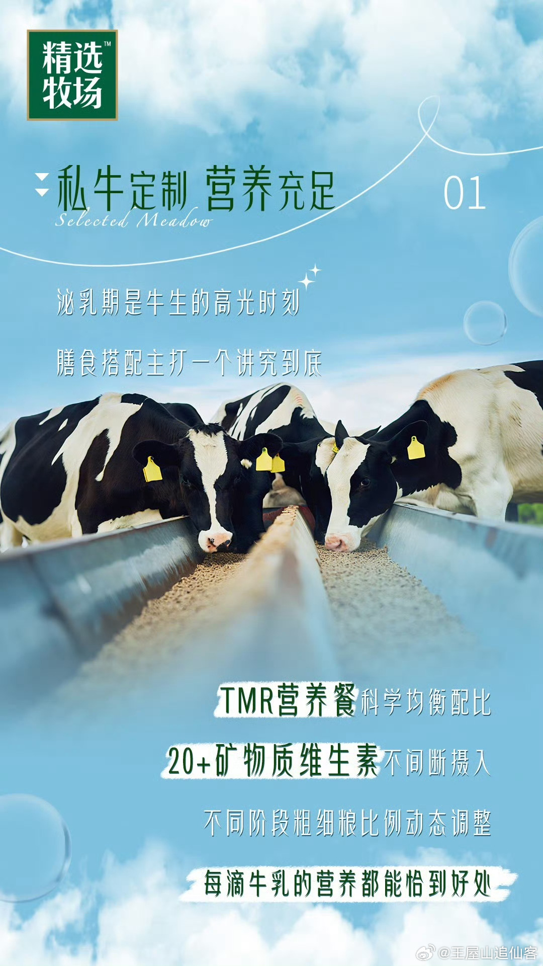 星火牧场最新项目