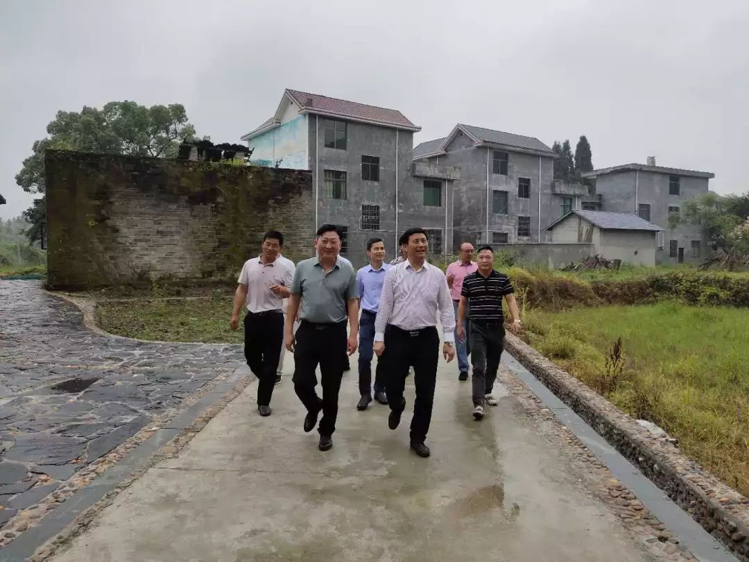 双桥镇最新领导