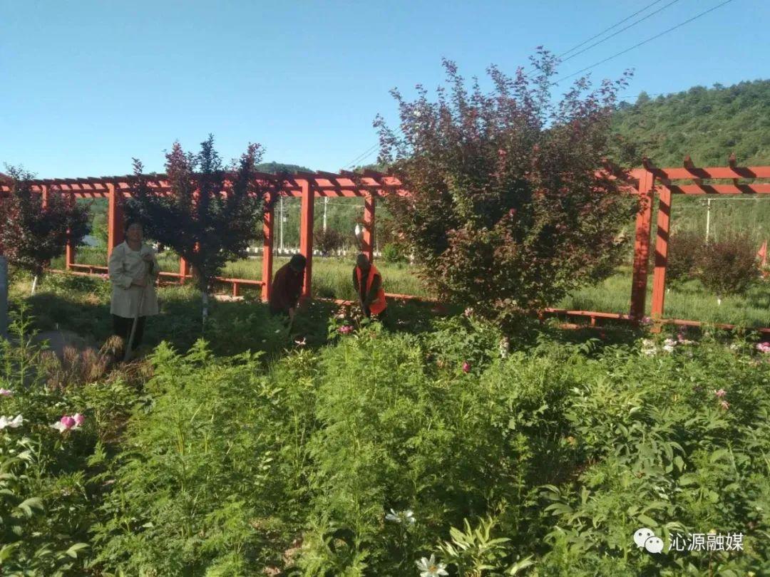 沁源县卫生健康局最新领导