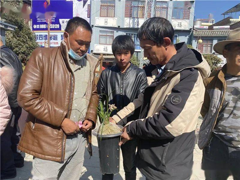 德久村最新新闻