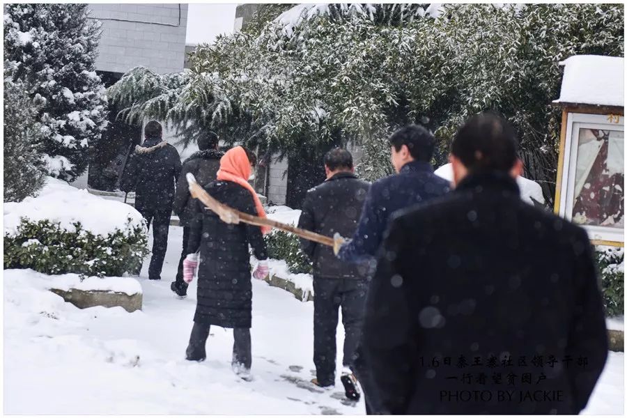 秦王村委会最新领导