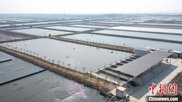 南沙群岛农业农村局最新项目