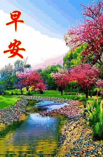 微信最新早安图片,传递美好心情与正能量启航新一天