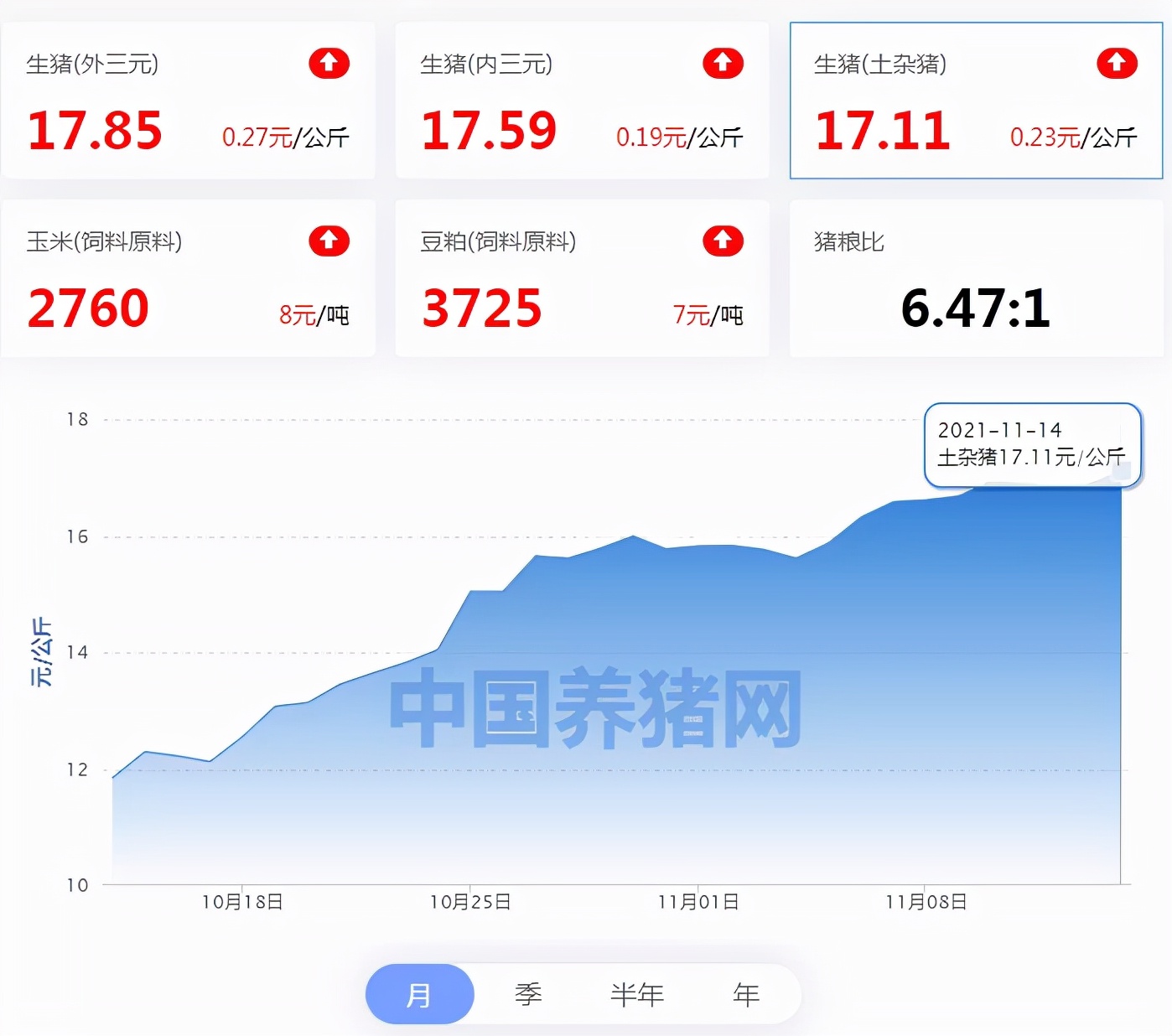 全国猪价最新动态,11月市场分析与展望