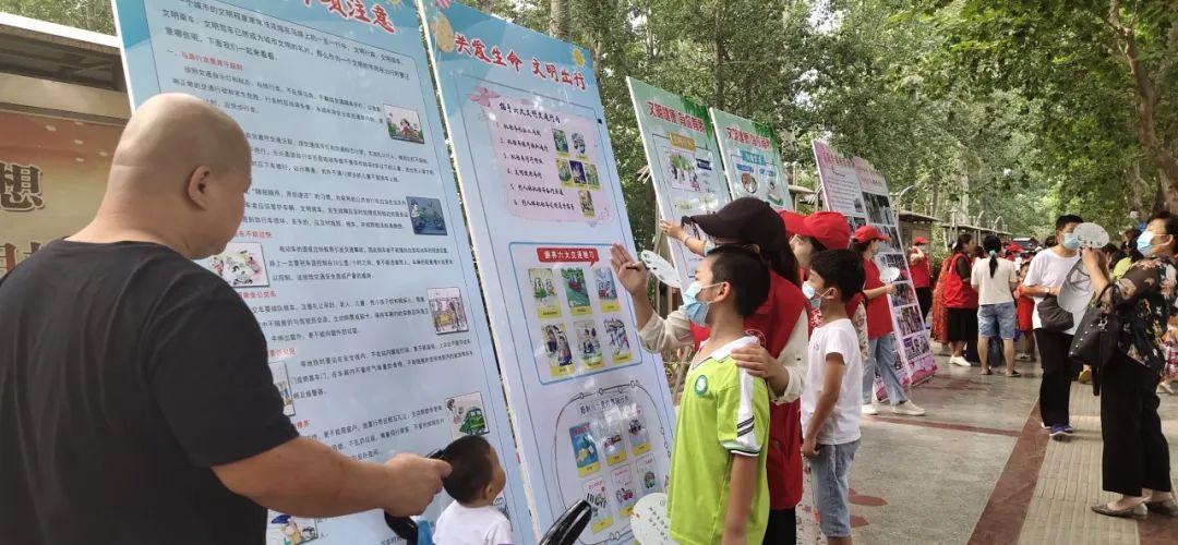 龙小手最新动态揭秘,探寻神秘面纱下的未知未来