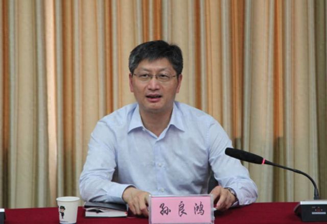 合肥市副市长,新时代引领城市发展的先锋力量