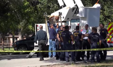 美国大选投票最新动态分析