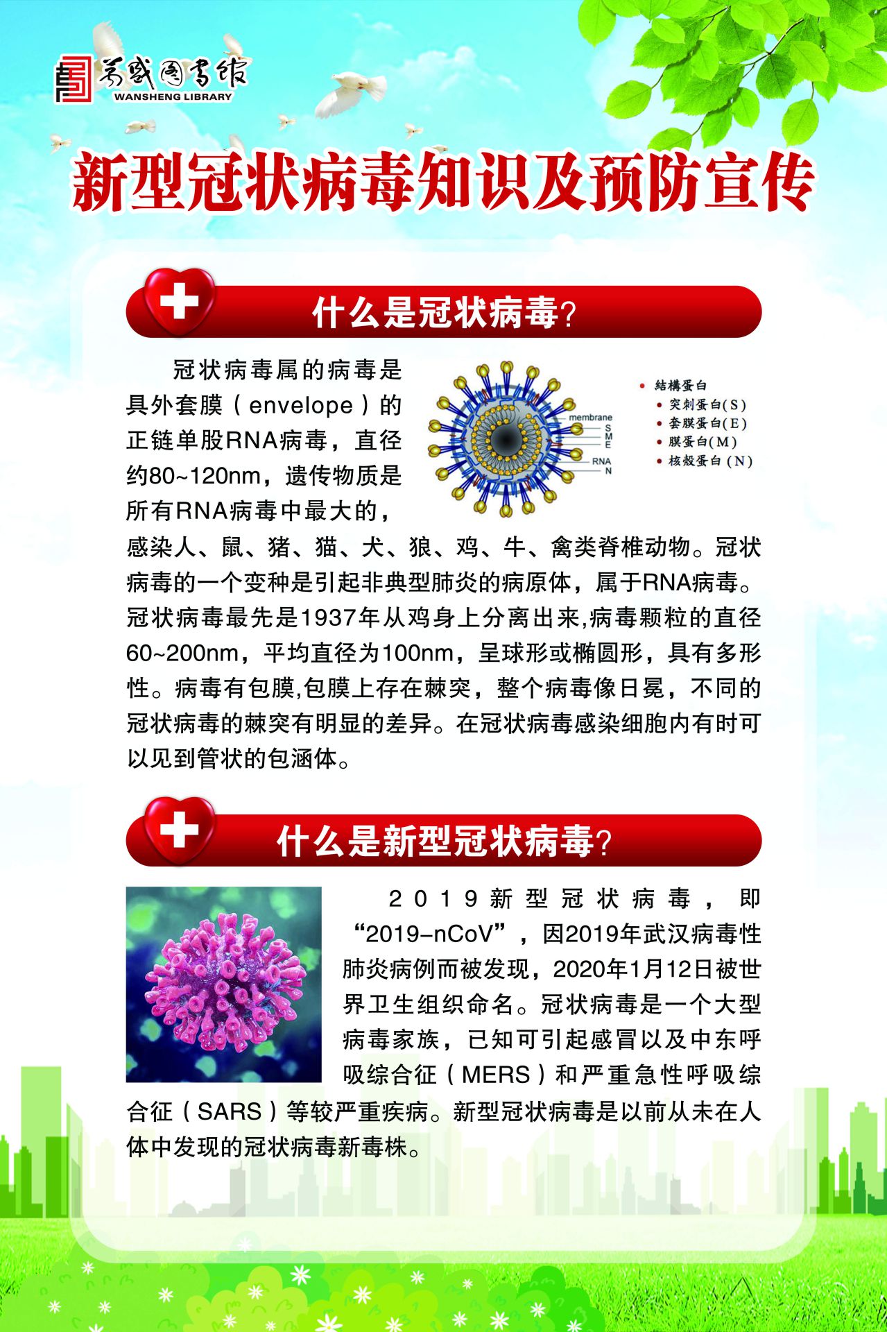 全球冠状病毒挑战,最新型的威胁与应对策略