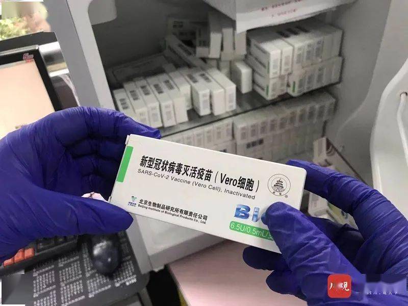 中国新冠疫苗最新动态,进展、挑战与未来展望