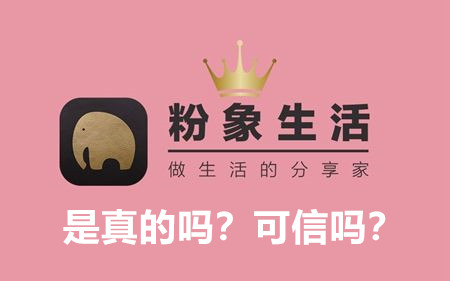 粉象生活最新版下载体验及独特功能深度解析