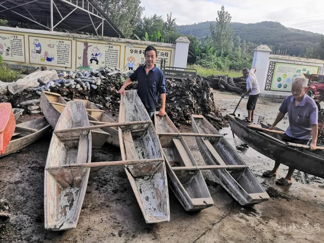 禁捕退捕最新政策探讨与实施,保护渔业生态,共创可持续发展之路