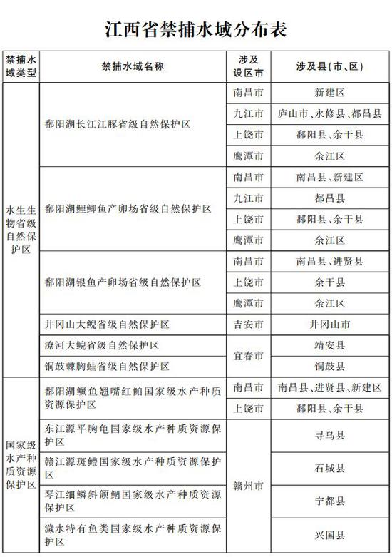 禁捕退捕最新政策探讨与实施,保护渔业生态,共创可持续发展之路