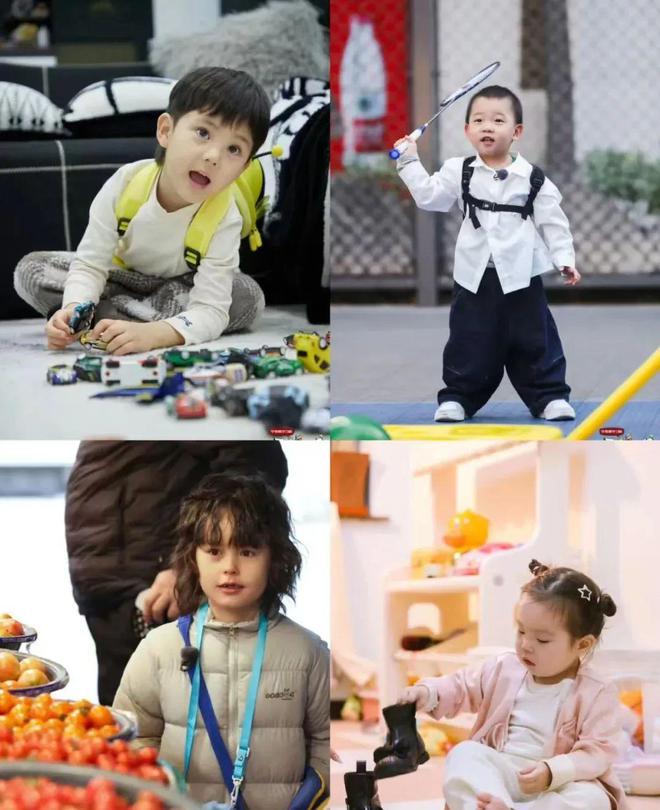 爸爸当家最新一季,家庭多样性的力量展现