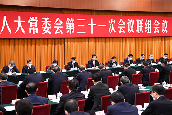 全国人大最新报道,聚焦两会热点,共谋国家发展大计