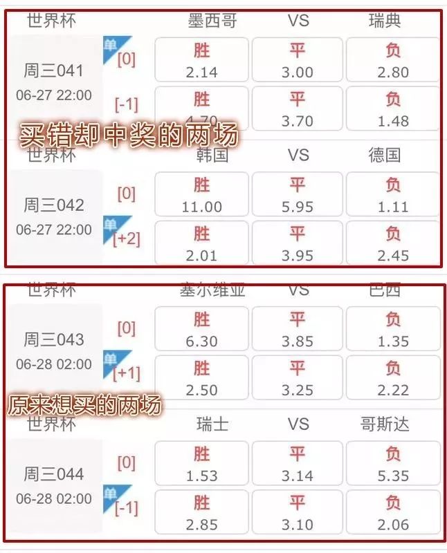 体育彩票世界杯最新动态与趋势深度解析