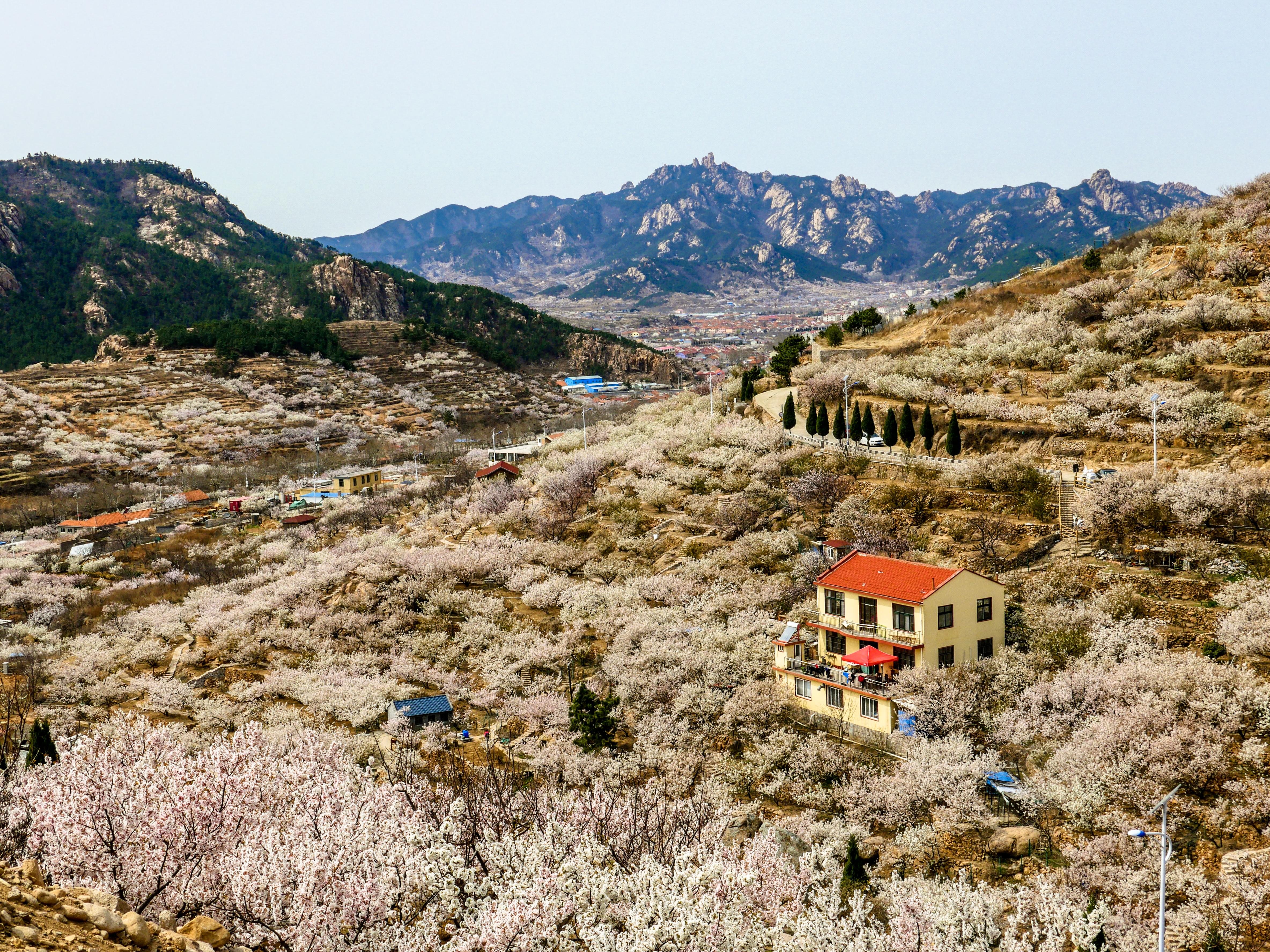 青岛崂山区时事概览,最新事件全览