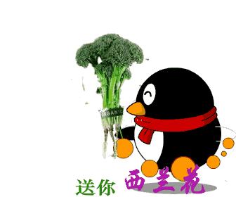 最新早上祝福语与美图,温馨问候,开启美好一天