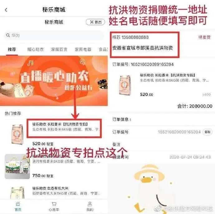 秘乐最新消息深度解读