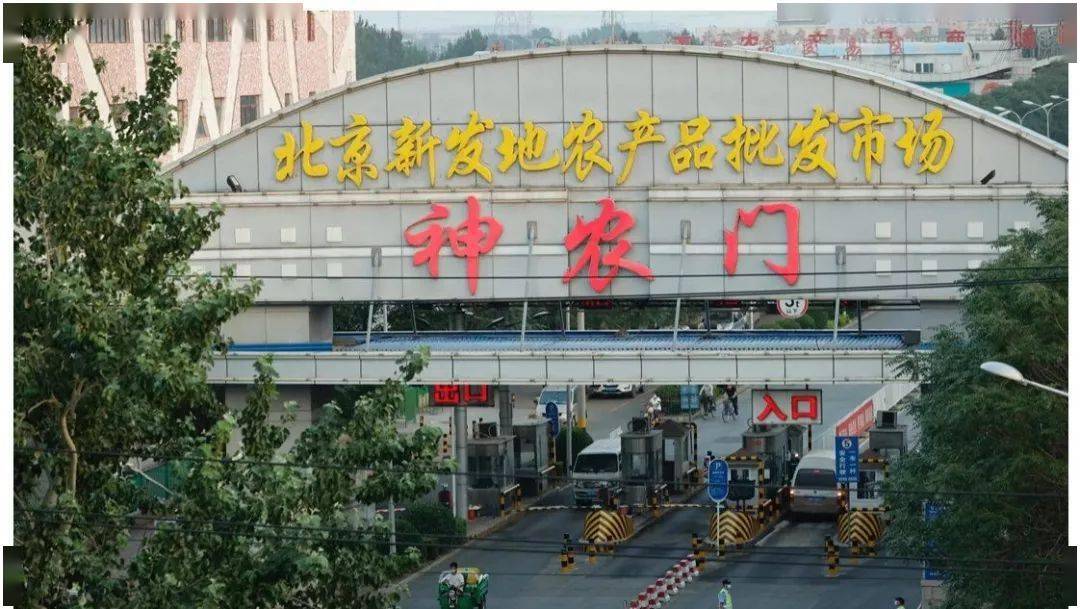 北京大兴疫情最新消息深度解读与分析