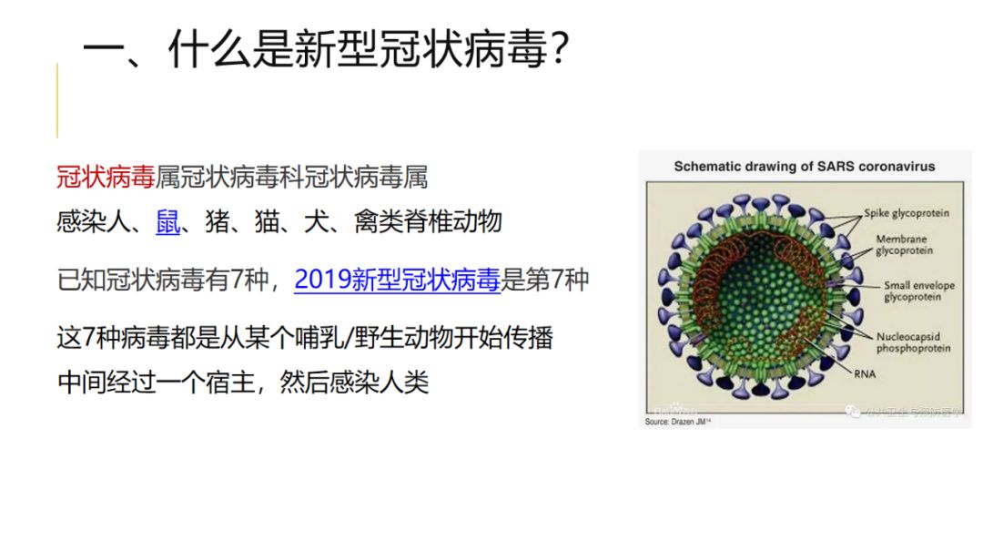 全球面临的新型冠状病毒疫情挑战与应对策略