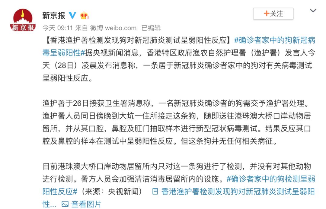 莱依美 第2页