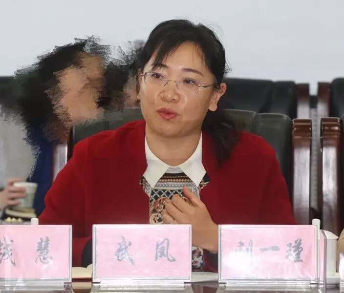 戴凤云最新动态,成功背后的神秘面纱揭晓